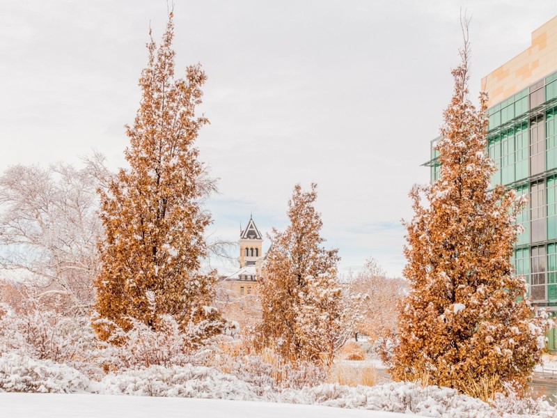 Old Main rests in the background behind trees dusted in snow.