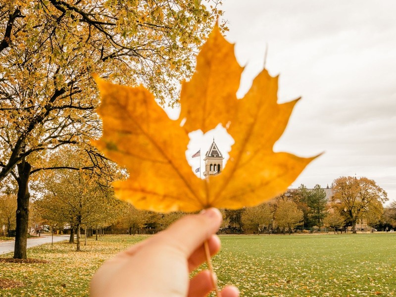 A hand holds a fallen leaf out in front of a background of Old Main