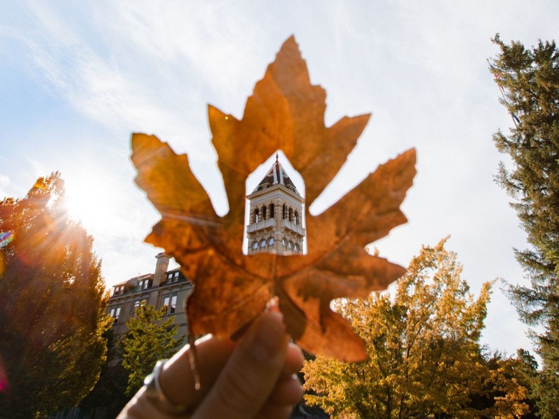 A leaf is held up with a hole cut out to silhouette Old Main.