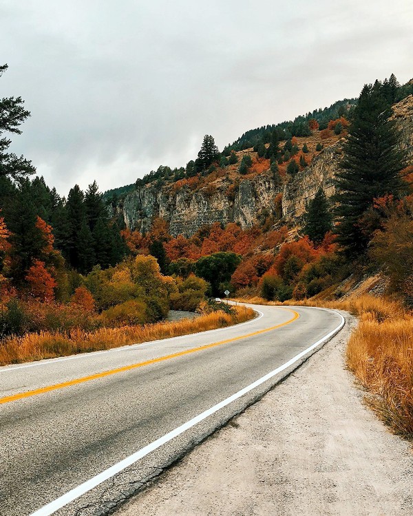A road leading into Logan Canyon during the fall.