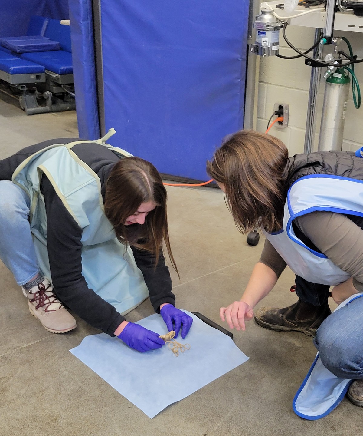 two people crouch by an X-ray tray as one arranges a small animal-skin pouch upon it.